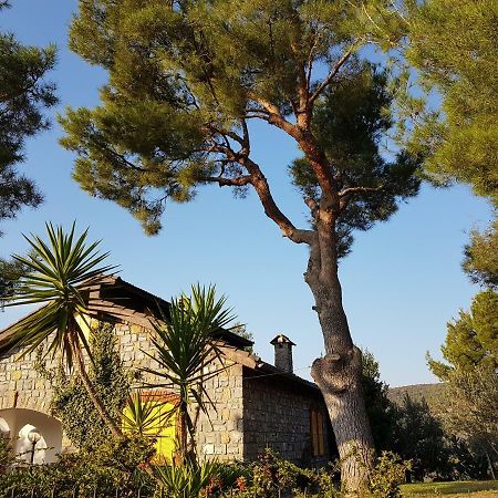 Villa Fior Di Lavanda Cisano sul Neva Kültér fotó