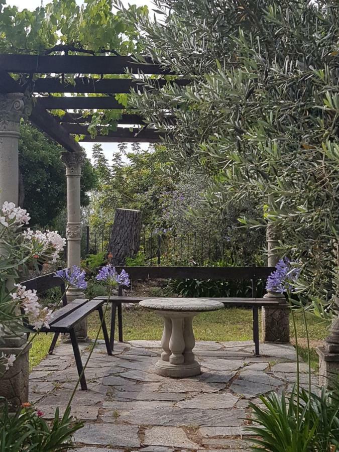 Villa Fior Di Lavanda Cisano sul Neva Kültér fotó
